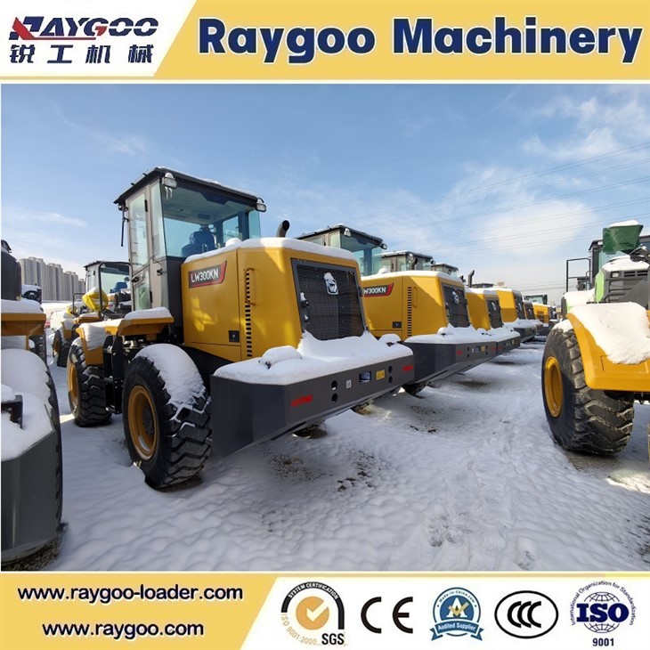 लोडर Xcmg Lw300kn